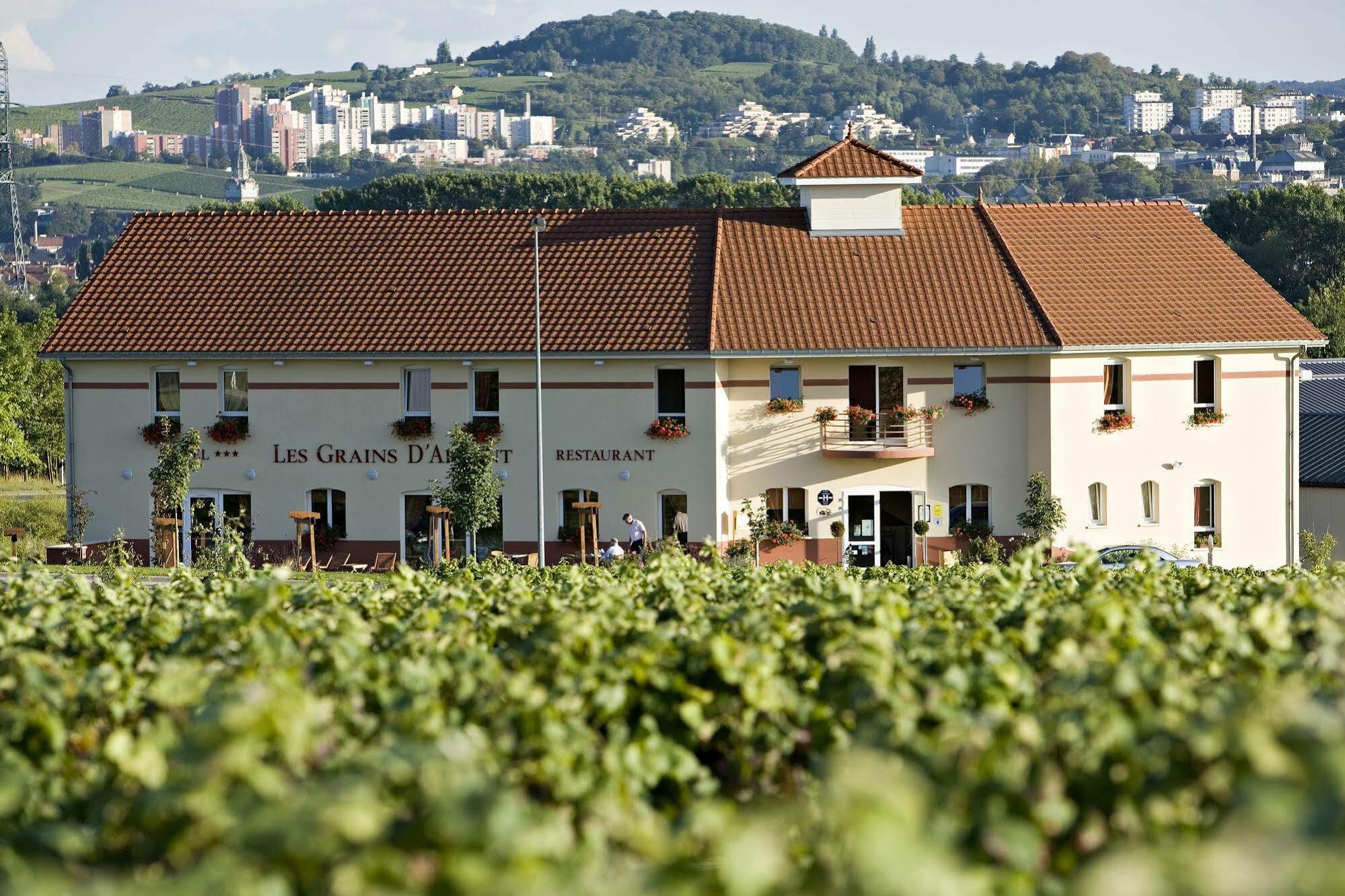 Hotel Restaurant Les Grains D'Argent Dizy - Epernay Exterior foto